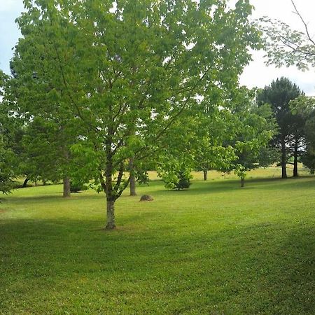 Une Pause Nature Chez Marion Et Cedric Montignac-Toupinerie Exterior photo